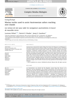 Marine turtles used to assist Austronesian sailors reaching new