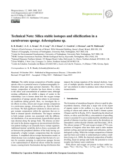 Technical Note: Silica stable isotopes and
