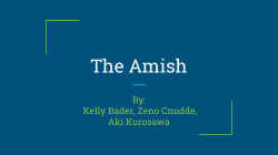 The Amish - HCOM 301