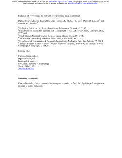 Evolution Of Coprophagy And Nutrient Absorption In A