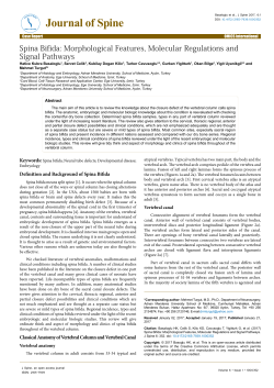 Peer-reviewed Article PDF
