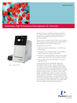 Automated, High Performance Electrophoresis for