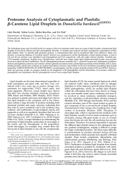 Proteome Analysis of Cytoplasmatic and Plastidic b