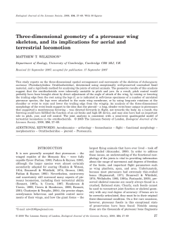 Three-dimensional geometry of a pterosaur wing skeleton, and its