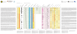 Global chronostratigraphical correlation table for the last 2.7