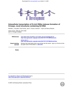 G-loops, novel structures containing G4 DNA Intracellular