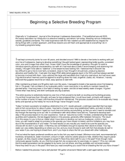Beginning a Selective Breeding