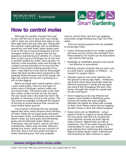 How to control moles - MSU Extension