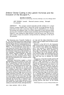 Anterior Dental Cutting in the Laetolil Hominids and the