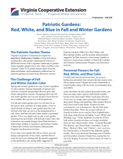 Patriotic Gardens: Red, White, and Blue in Fall