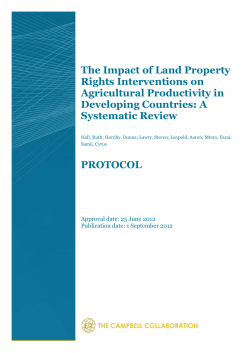 The Impact of Land Property Rights Interventions on Agricultural