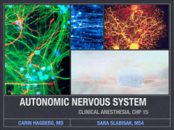 Document - Sara Slabisak, MD