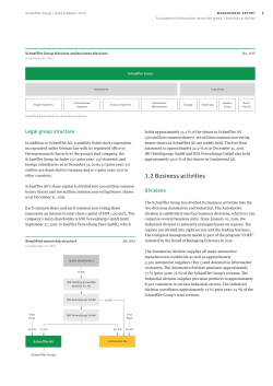 Business activities - the Schaeffler Group