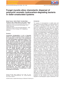 Fungal mycelia allow chemotactic dispersal of polycyclic aromatic