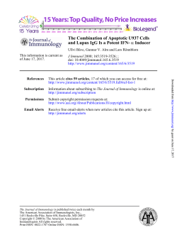 The Combination of Apoptotic U937 Cells