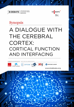 a dialogue with the cerebral cortex