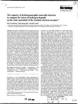 The capacity of hydrogenotrophic anaerobic bacteria to compete for