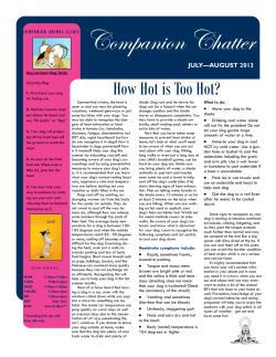 July/August 2013 - Companion Animal Clinic