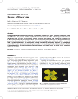 Control of flower size - Oxford Academic
