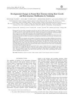 Developmental Changes in Peanut Root