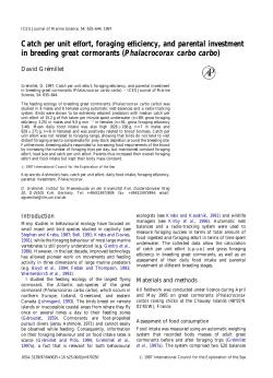 Catch per unit effort, foraging efficiency, and parental investment in