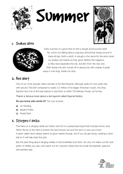 fact sheets - The Mersey Forest