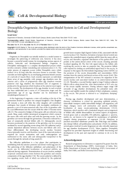 Drosophila Oogenesis: An Elegant Model System in