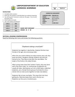 limpopodepartment of education laerskool warmbad 55