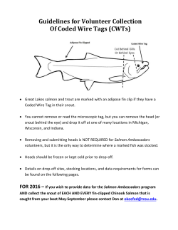 CWT Information for 2016
