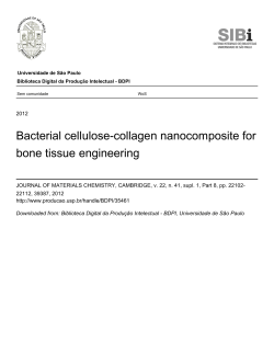 Bacterial cellulose-collagen nanocomposite for bone