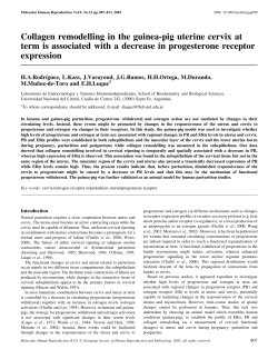 Collagen remodelling in the guinea-pig uterine