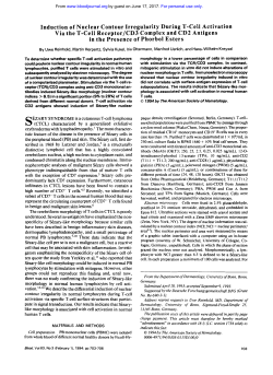 Induction of Nuclear Contour Irregularity During T