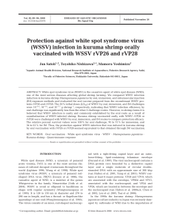 Protection against white spot syndrome virus (WSSV) infection in