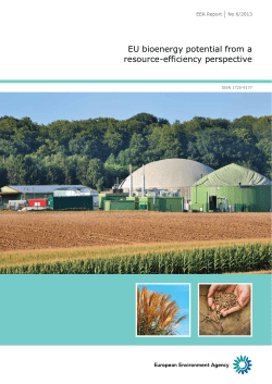 EU bioenergy potential from a resource efficiency