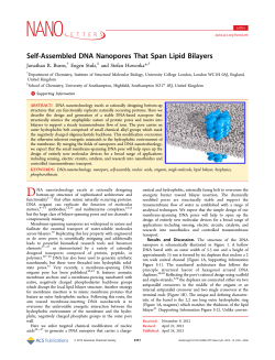 Self-Assembled DNA Nanopores That Span Lipid Bilayers