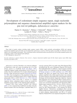 Development of codominant simple sequence repeat, single