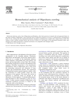Biomechanical analysis of Oligochaeta crawling - FORTH-ICS