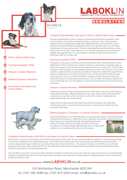 Laboklin Newsletter January 2013