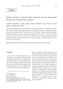 Random insertion of injected DNA molecules into the macronuclear