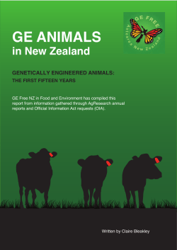 GE Animals in New Zealand: the first fifteen years