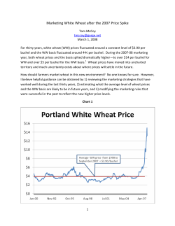 Marketing White Wheat After The Price Spike (ver.97