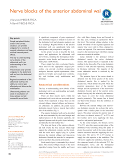 Nerve blocks of the anterior abdominal wall