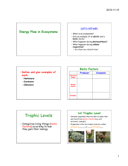 Energy Flow in Ecosystems