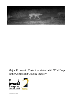 Major Economic Costs Associated with Wild Dogs in the