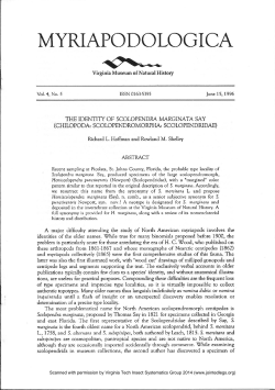 The identity of Scolopendra marginata Say