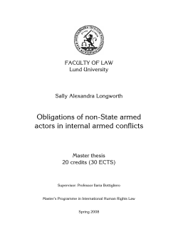 Obligations of non-State armed actors in internal armed conflicts