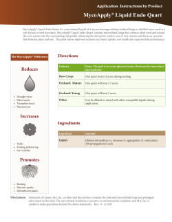 MycoApply&reg; Liquid Endo Quart