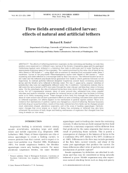 Flow fields around ciliated larvae: effects of natural