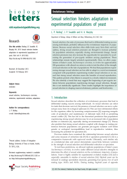 Sexual selection hinders adaptation in experimental populations of