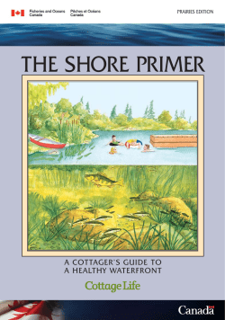The Shore Primer